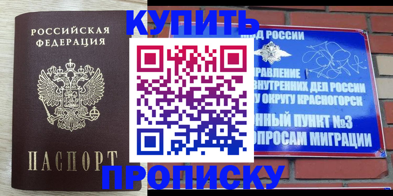 прописка гарантия в Ногинске